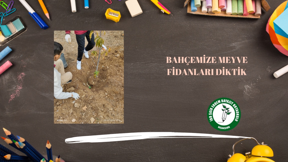 Okul Bahçemize Meyve Fidanları Diktik